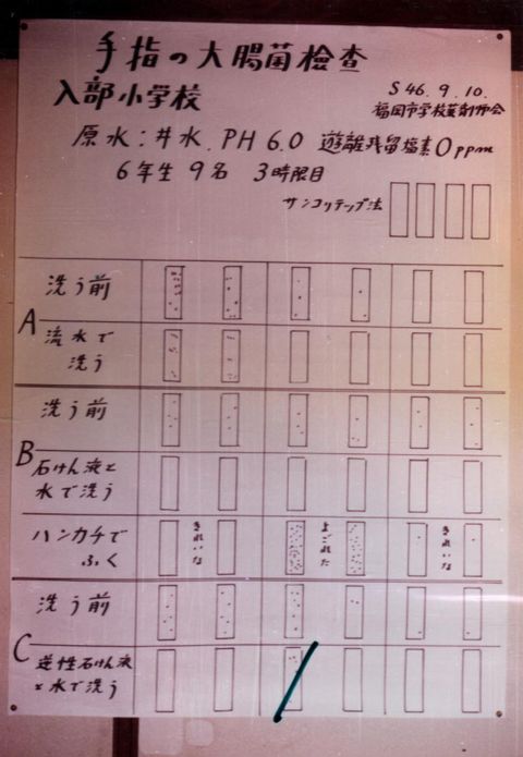 ��w�̑咰�ی���