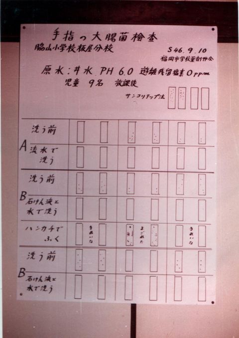 ��w�̑咰�ی���