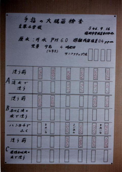 ��w�̑咰�ی���