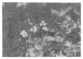 �Z���o�I�E����