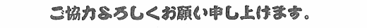 �����͂�낵�����肢�\���グ�܂��B