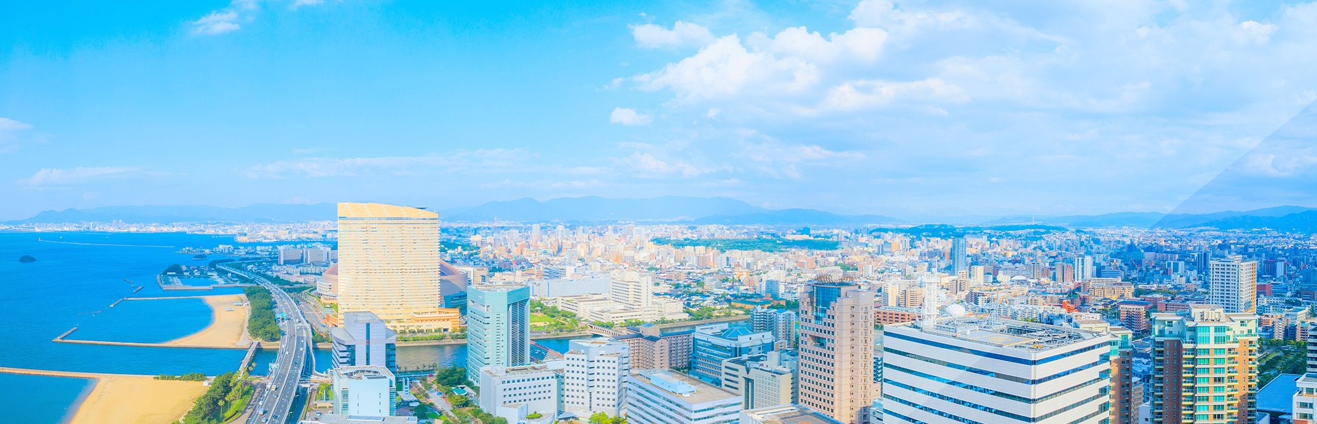 一般社団法人 福岡市薬剤師会